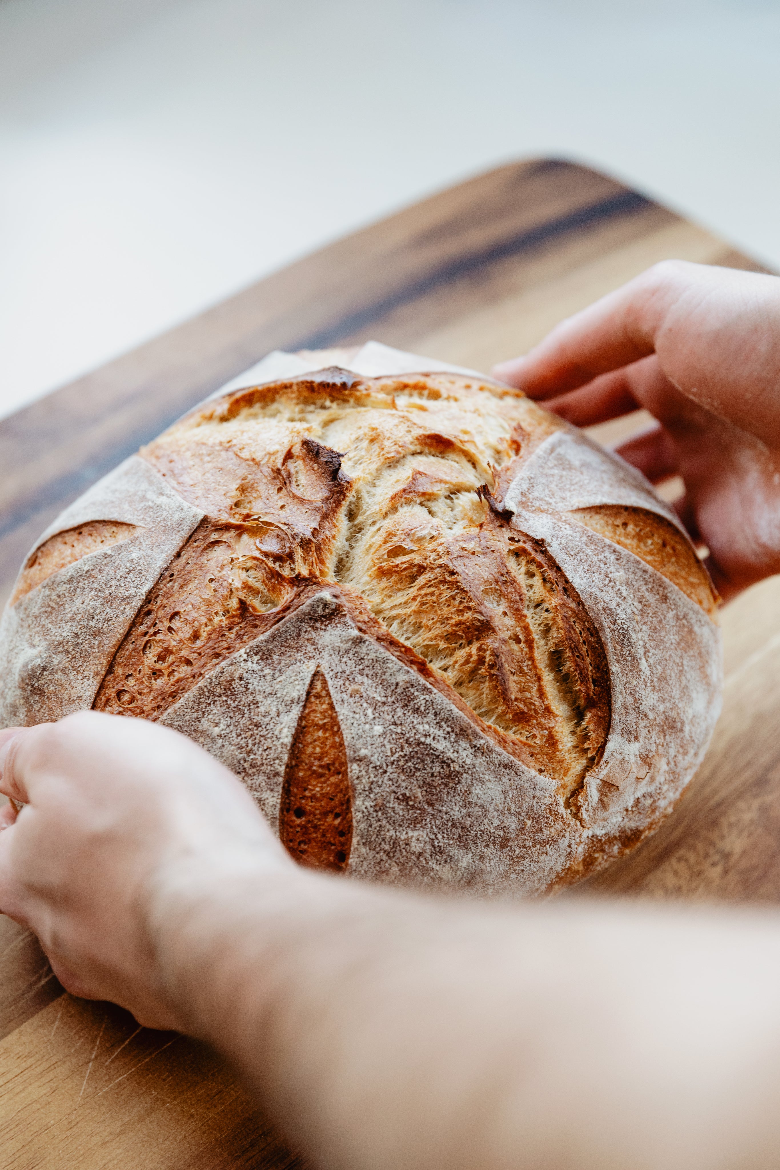 Download ons gratis zuurdesem recept